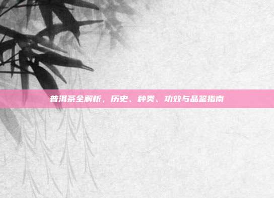普洱茶全解析，历史、种类、功效与品鉴指南