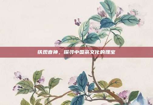 铁观音神，探寻中国茶文化的瑰宝