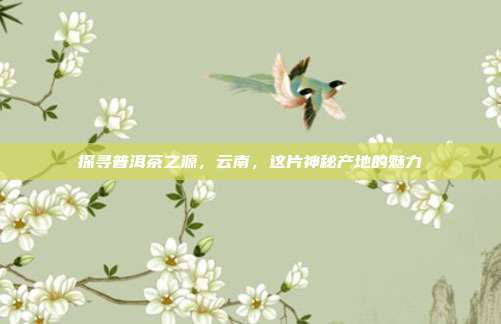 探寻普洱茶之源，云南，这片神秘产地的魅力