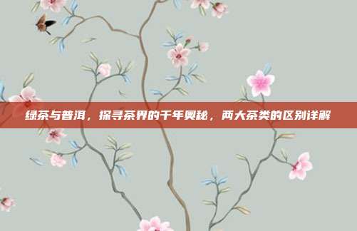绿茶与普洱，探寻茶界的千年奥秘，两大茶类的区别详解