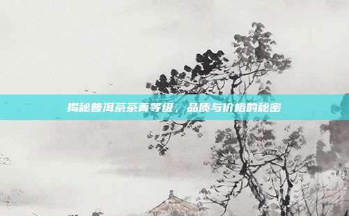 揭秘普洱茶茶菁等级，品质与价格的秘密