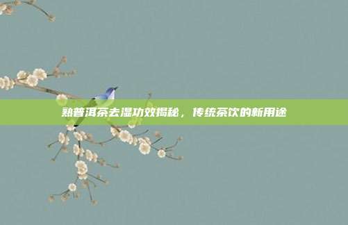 熟普洱茶去湿功效揭秘，传统茶饮的新用途