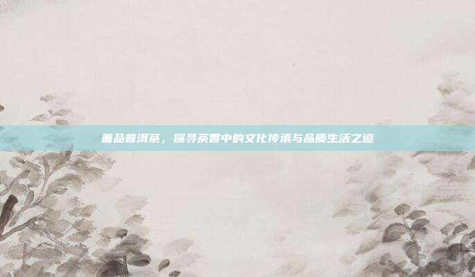 善品普洱茶，探寻茶香中的文化传承与品质生活之道