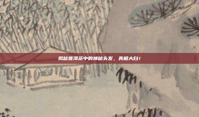 揭秘普洱茶中的神秘头发，真相大白！