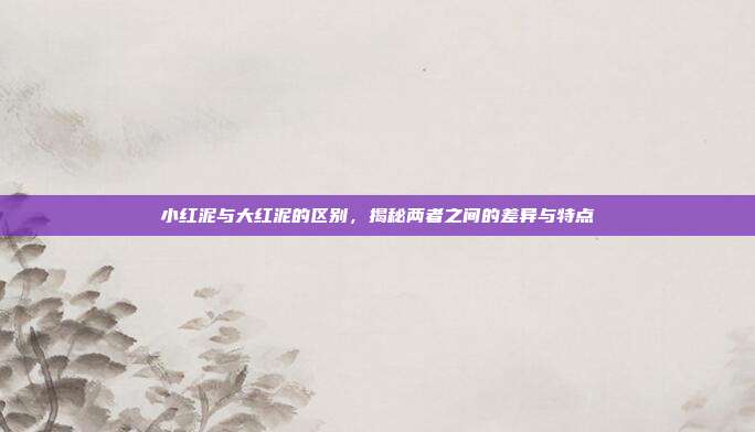 小红泥与大红泥的区别，揭秘两者之间的差异与特点