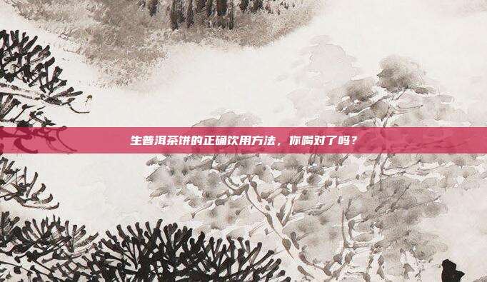 生普洱茶饼的正确饮用方法，你喝对了吗？