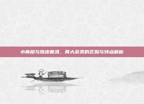 小青柑与陈皮普洱，两大茶类的区别与特点解析