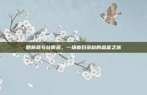 明前茶与谷雨茶，一场春日茶韵的品鉴之旅