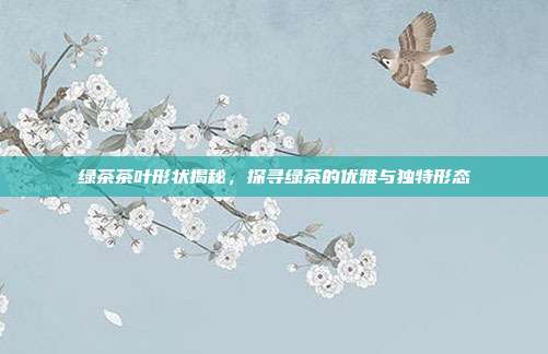 绿茶茶叶形状揭秘，探寻绿茶的优雅与独特形态