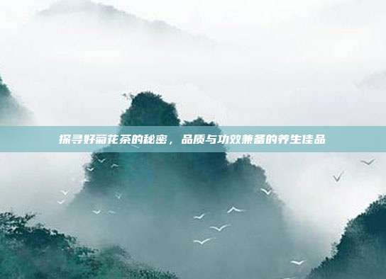 探寻好菊花茶的秘密，品质与功效兼备的养生佳品