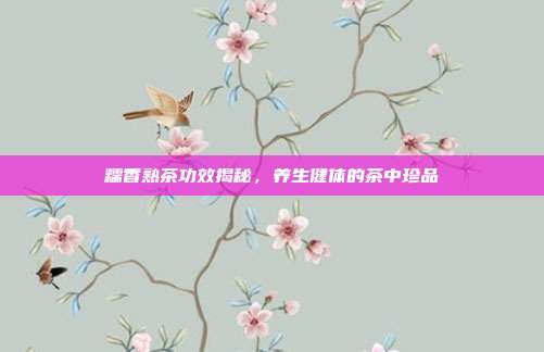 糯香熟茶功效揭秘，养生健体的茶中珍品