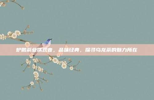 炉鹏茶业铁观音，品味经典，探寻乌龙茶的魅力所在