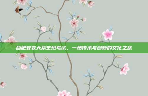 合肥安农大茶艺班考试，一场传承与创新的文化之旅