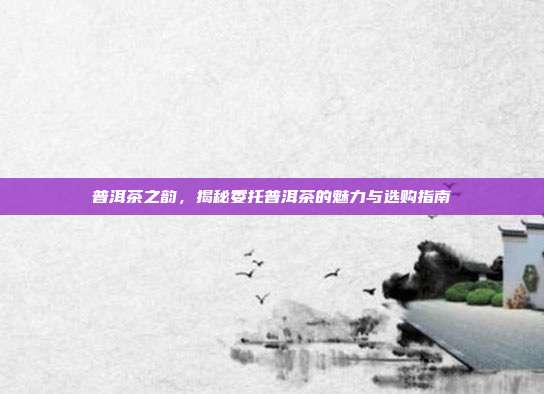 普洱茶之韵，揭秘委托普洱茶的魅力与选购指南