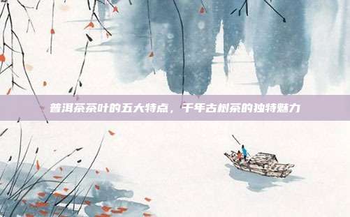 普洱茶茶叶的五大特点，千年古树茶的独特魅力
