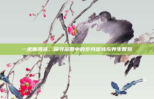 一求普洱茶，探寻茶香中的岁月流转与养生智慧