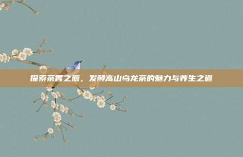 探索茶香之源，发酵高山乌龙茶的魅力与养生之道