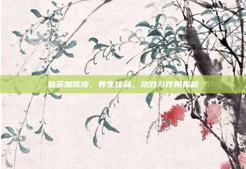 熟茶加陈皮，养生佳品，功效与作用揭秘