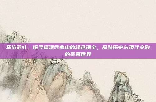 马坑茶叶，探寻福建武夷山的绿色瑰宝，品味历史与现代交融的茶香世界