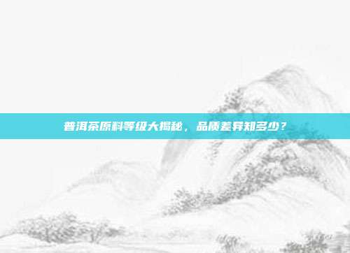 普洱茶原料等级大揭秘，品质差异知多少？