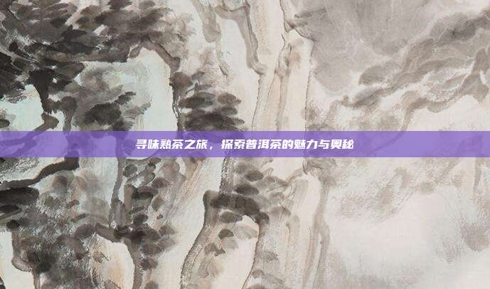寻味熟茶之旅，探索普洱茶的魅力与奥秘