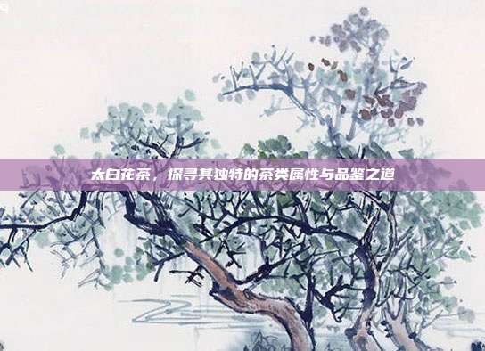 太白花茶，探寻其独特的茶类属性与品鉴之道