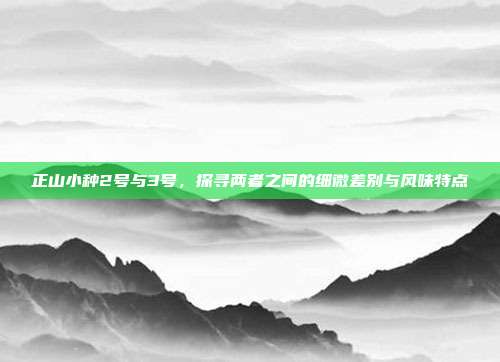 正山小种2号与3号，探寻两者之间的细微差别与风味特点