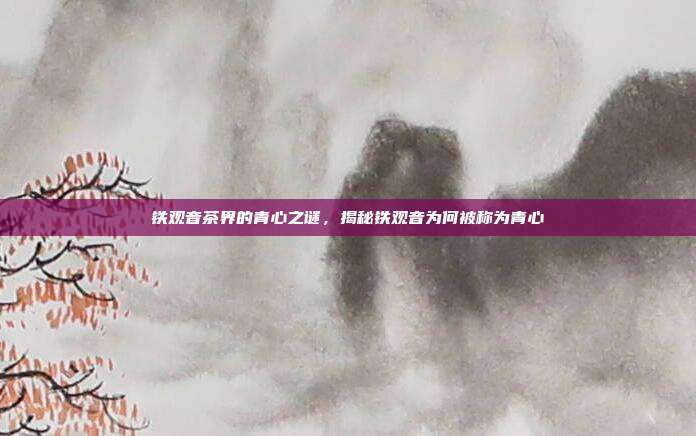 铁观音茶界的青心之谜，揭秘铁观音为何被称为青心