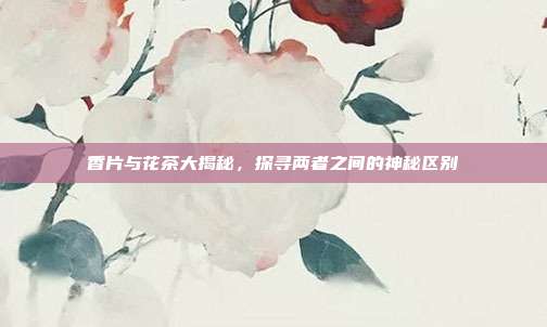 香片与花茶大揭秘，探寻两者之间的神秘区别