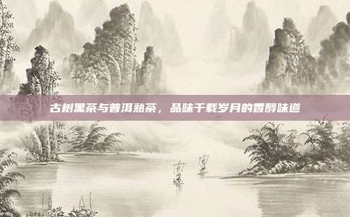 古树黑茶与普洱熟茶，品味千载岁月的香醇味道