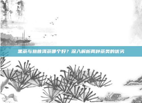 黑茶与熟普洱茶哪个好？深入解析两种茶类的优劣
