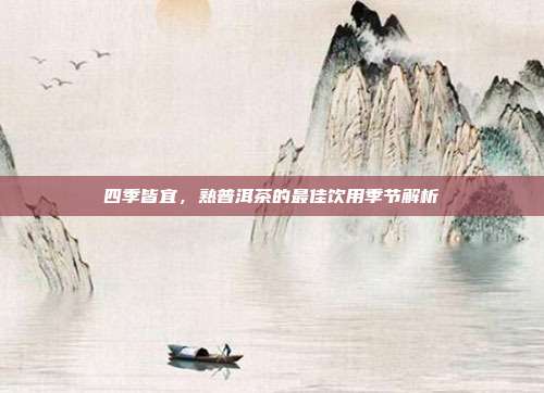 四季皆宜，熟普洱茶的最佳饮用季节解析