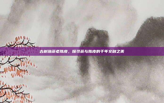 古树熟茶老陈皮，探寻茶与陈皮的千年交融之美