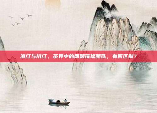 滇红与川红，茶界中的两颗璀璨明珠，有何区别？