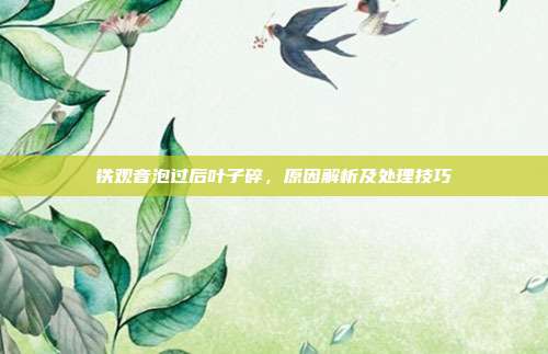 铁观音泡过后叶子碎，原因解析及处理技巧
