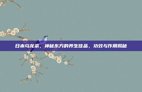 日本乌龙茶，神秘东方的养生佳品，功效与作用揭秘