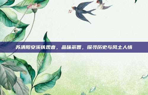 苏清阳安溪铁观音，品味茶香，探寻历史与风土人情