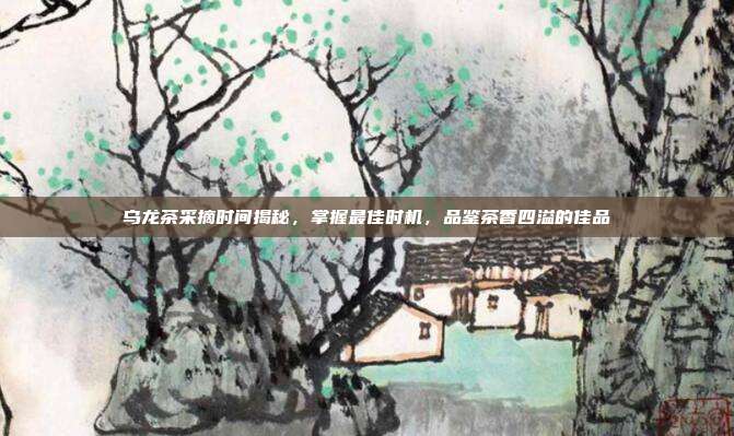乌龙茶采摘时间揭秘，掌握最佳时机，品鉴茶香四溢的佳品