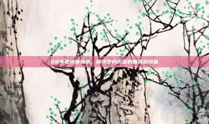 08年老班章熟茶，探寻岁月沉淀的普洱茶珍品