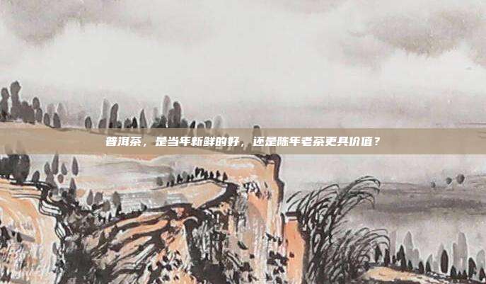 普洱茶，是当年新鲜的好，还是陈年老茶更具价值？