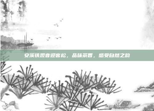 安溪铁观音迎客松，品味茶香，感受自然之韵