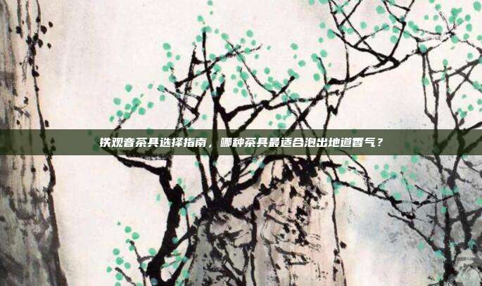铁观音茶具选择指南，哪种茶具最适合泡出地道香气？