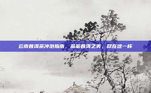 云南普洱茶冲泡指南，品鉴普洱之美，尽在这一杯