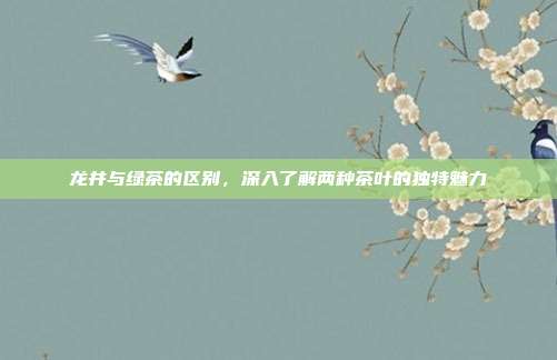 龙井与绿茶的区别，深入了解两种茶叶的独特魅力