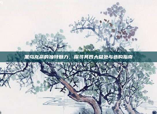 黑乌龙茶的独特魅力，探寻其四大益处与选购指南