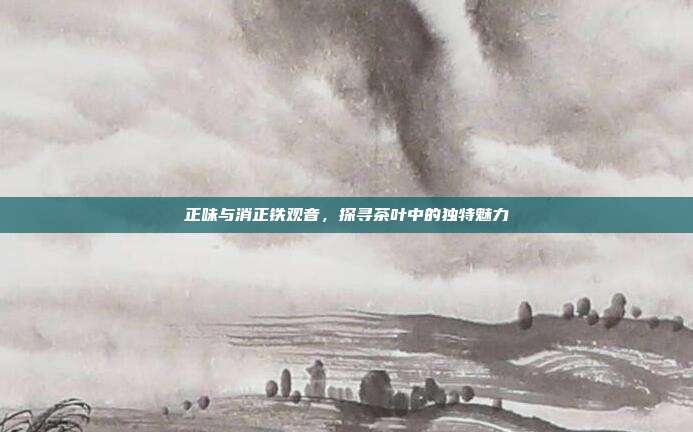 正味与消正铁观音，探寻茶叶中的独特魅力