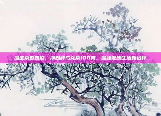 品鉴茶香四溢，净思牌乌龙茶100克，品味健康生活新选择