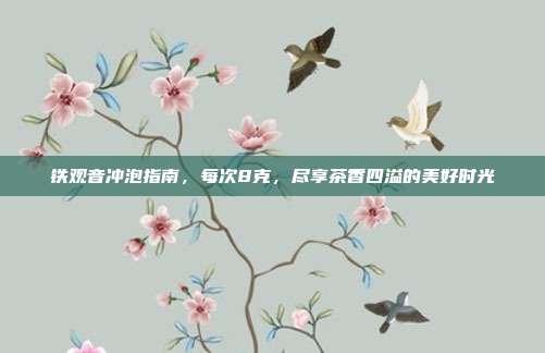 铁观音冲泡指南，每次8克，尽享茶香四溢的美好时光
