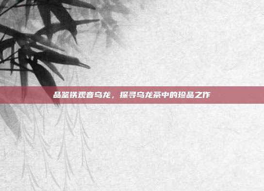 品鉴铁观音乌龙，探寻乌龙茶中的珍品之作