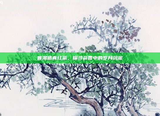 普洱晒青红茶，探寻茶香中的岁月沉淀